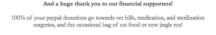 And a huge thank you to our financial supporters! 100% of your paypal donations go towards vet bills, medication, and sterilization surgeries, and the occasional bag of cat food or new jingle toy! 